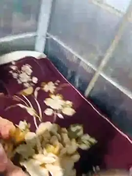 Deshi sexy online show from July 10, 2026, 8:44 pm