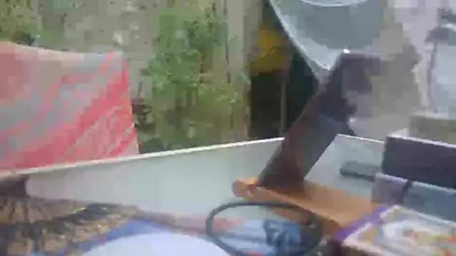 mad2moi online show from July 15, 2026, 2:22 pm