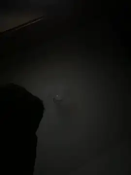 argentvifal online show from June 26, 2026, 2:38 am