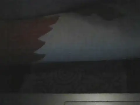 Snapshot of butterflywngs chatting on July 10, 2026, 6:54 pm butterflywngs online show from July 10, 2026, 6:54 pm
