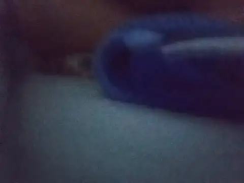 Chinitabella88 online show from August 3, 2026, 2:43 am