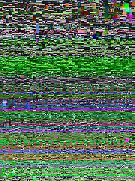 midog2026 online show from August 1, 2026, 7:51 am