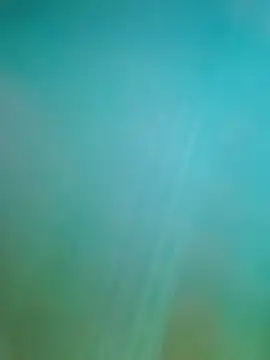 Snapshot of Steveschaw chatting on February 19, 2025, 11:04 pm Steveschaw online show from February 19, 2025, 11:04 pm