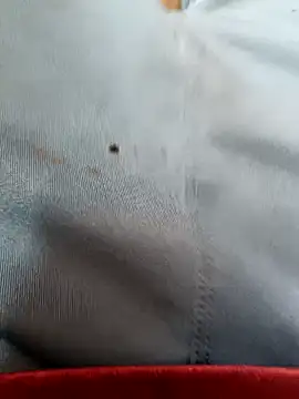 FriskyGender online show from October 17, 2025, 7:22 am