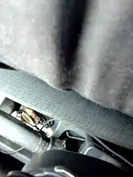 LifeLineSL online show from March 4, 2026, 6:30 am