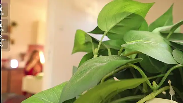 Snapshot of Kishaxxx chatting on March 6, 2025, 2:08 pm Kishaxxx online show from March 6, 2025, 2:08 pm