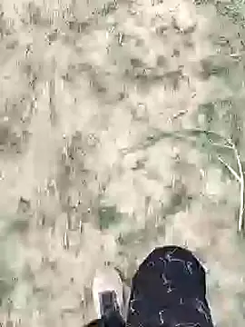 ThethunderPo online show from January 18, 2025, 2:25 am