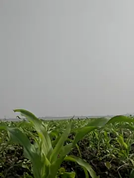 ThethunderPo online show from February 3, 2026, 6:51 am