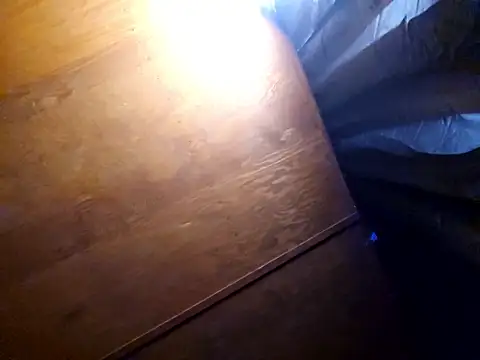 Snapshot of UncutHammer69 chatting on February 17, 2026, 3:29 pm UncutHammer69 online show from February 17, 2026, 3:29 pm