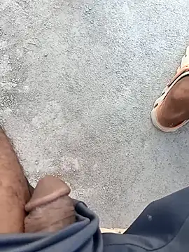 Bengali BULL1 online show from October 1, 2025, 10:43 am