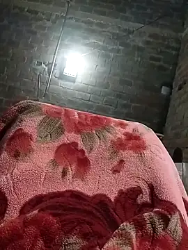 Bengali BULL1 online show from October 8, 2025, 4:15 pm