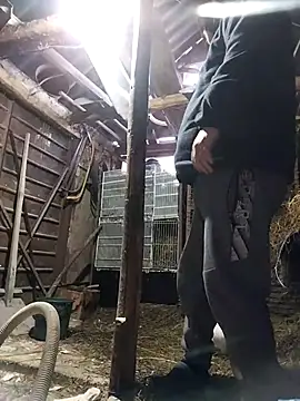 sarpe4 online show from February 18, 2026, 3:41 pm