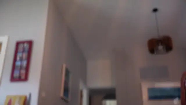 lucyslegs online show from October 13, 2025, 2:06 pm