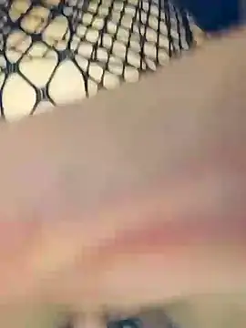 Bull8 online show from December 5, 2024, 11:51 pm