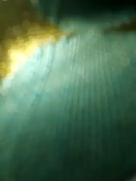 salonidesimaal online show from December 4, 2024, 10:02 am