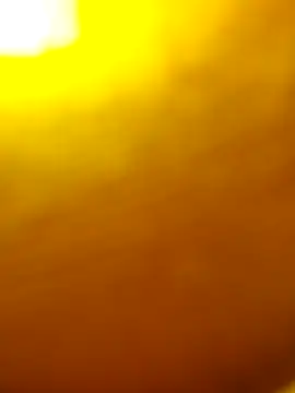 salonidesimaal online show from February 1, 2025, 9:43 am