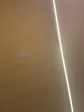 Gatitacarlita online show from November 26, 2025, 10:27 am