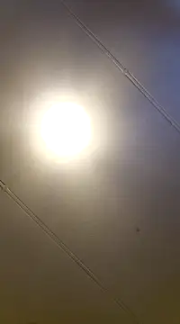 PinkTheHawk online show from January 11, 2025, 10:07 pm