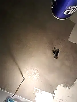 theeeegodv5 online show from December 3, 2024, 12:46 am