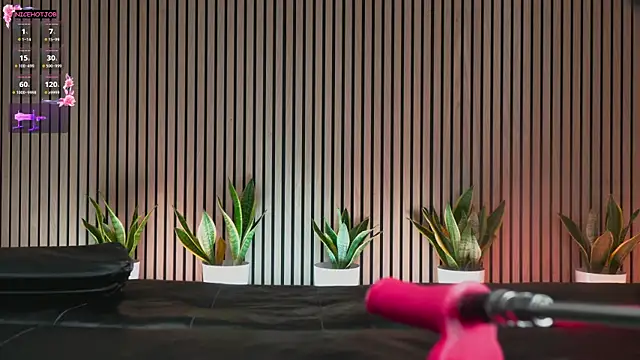 NiceHotJob online show from February 3, 2025, 7:00 pm