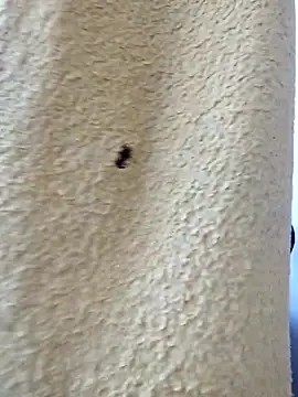 david geam online show from March 20, 2026, 6:51 am