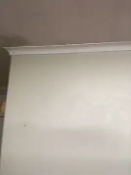 LuciousLips96 online show from November 6, 2025, 4:19 pm