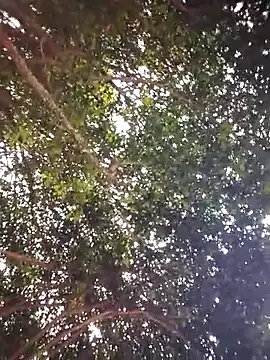 Brenda Berck  online show from April 5, 2026, 12:57 pm