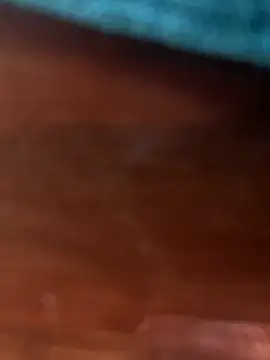 Luzia Tv online show from January 19, 2026, 9:57 am