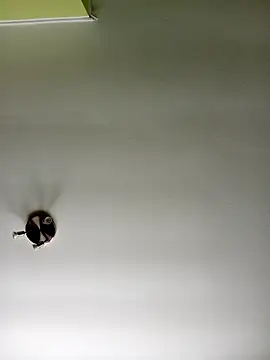 NiceHunter89 online show from February 20, 2025, 10:37 am