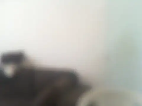 ConradinhoBR50 online show from April 19, 2026, 2:27 pm