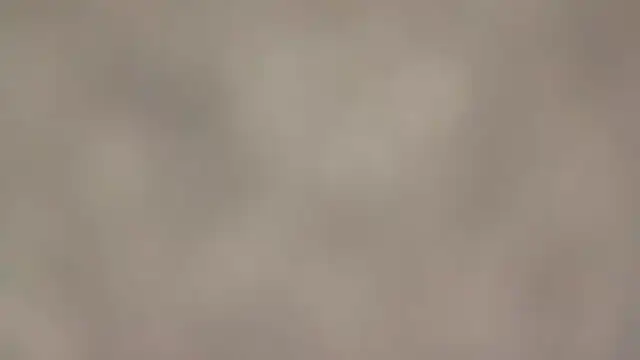 fmodel online show from September 11, 2025, 1:44 pm