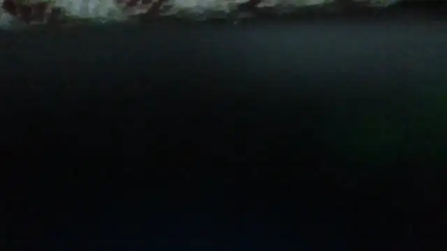 Leo Big online show from September 23, 2025, 11:19 pm