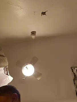 Snapshot of tropikboy chatting on January 12, 2026, 9:36 am tropikboy online show from January 12, 2026, 9:36 am