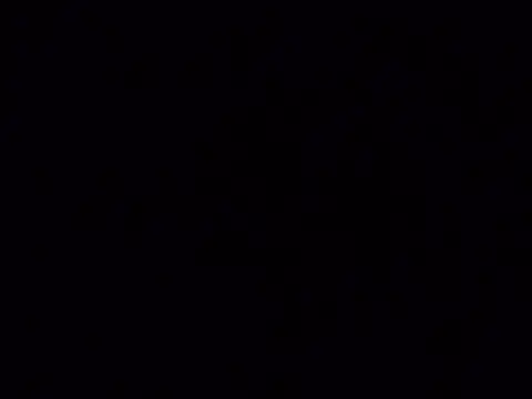 tropikboy online show from February 2, 2026, 1:26 am