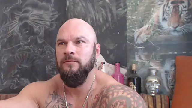 viking 30 online show from November 2, 2025, 10:28 am