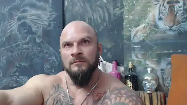 viking 30 online show from November 4, 2025, 7:57 pm