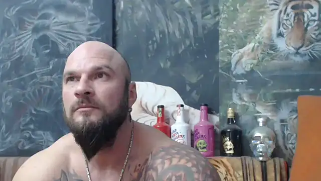 viking 30 online show from November 22, 2025, 6:51 pm