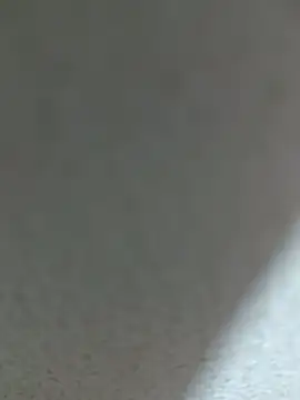 Fghjxdgbbcd online show from January 15, 2026, 9:36 am