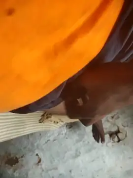 Badboy xyz online show from October 22, 2025, 4:02 am