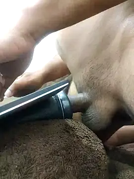 indianbulldelhi online show from January 27, 2025, 7:45 am