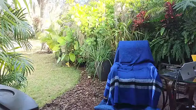 eliberator1777 online show from December 10, 2024, 3:44 pm