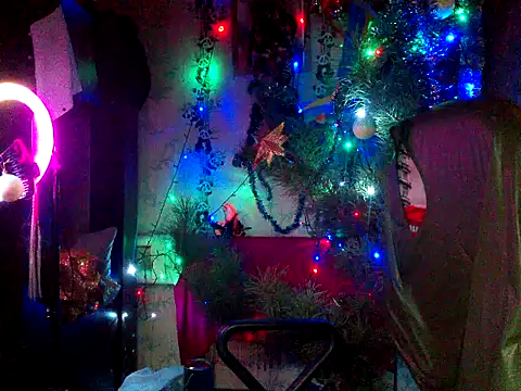 WildMissNiks online show from December 23, 2025, 9:51 am