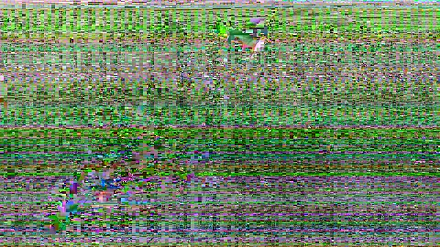 MiaYMolly online show from September 23, 2025, 1:08 am