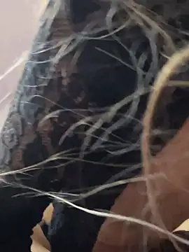 Snapshot of Littlebunny21 chatting on December 15, 2024, 10:26 pm Littlebunny21 online show from December 15, 2024, 10:26 pm