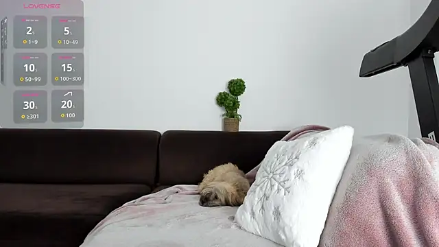 baby alice online show from January 14, 2026, 11:09 pm