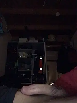 Snapshot of Chris-LE91 chatting on January 15, 2026, 3:55 am Chris-LE91 online show from January 15, 2026, 3:55 am