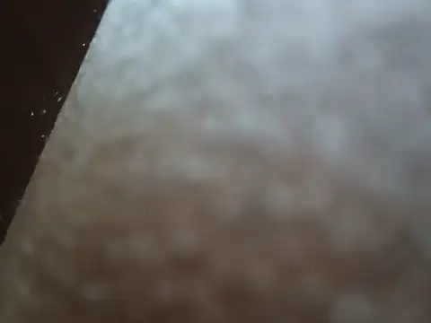 Snapshot of PrinceNoAlbert chatting on December 6, 2024, 3:33 pm PrinceNoAlbert online show from December 6, 2024, 3:33 pm