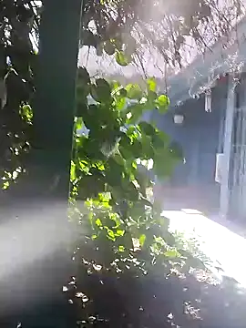 sofy alone online show from January 2, 2025, 5:39 pm