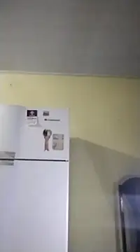 catdool online show from February 14, 2025, 10:07 am