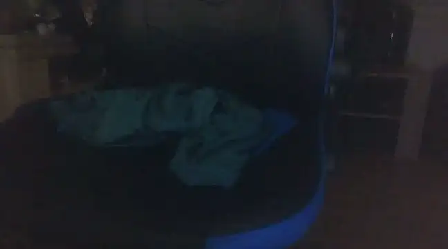 ViaPanties4you online show from February 12, 2025, 11:30 pm